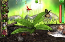 New Among Casual Mobile Games: Flower Defense Game Plant Panic