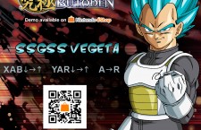 Vegata - Super Vegeta Dragon Ball Z Super Sayan Gott